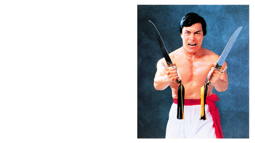 Amazing Masters of the Martial Arts