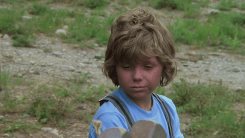 Adventures of the Wilderness Family 3 (aka Mountain Family Robinson)