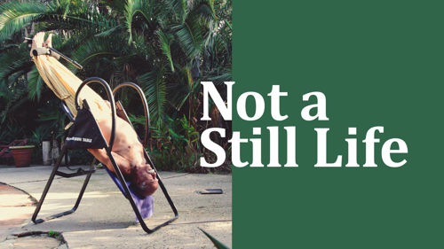 Not a Still Life