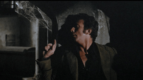 Web of the Spider (English dubbed)