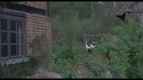 The Blood on Satan's Claw