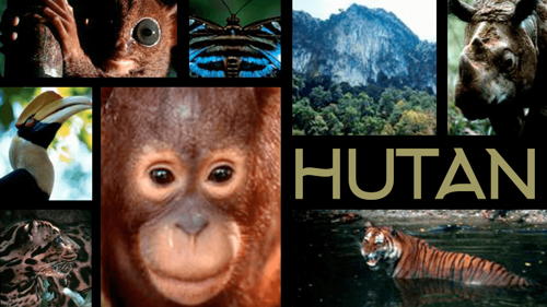 Hutan
