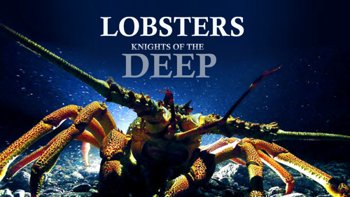 Lobsters - Knights Of The Deep
