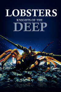 Lobsters - Knights Of The Deep