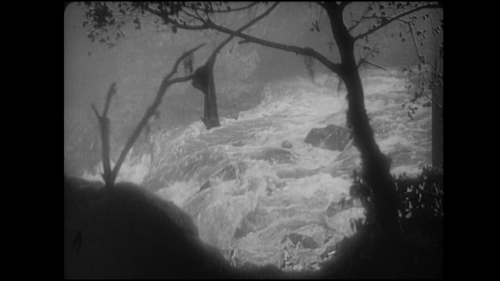 The Most Dangerous Game (Black & White)