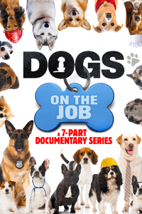 Dogs on the Job