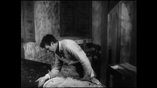 The Killer Shrews (Black & White)