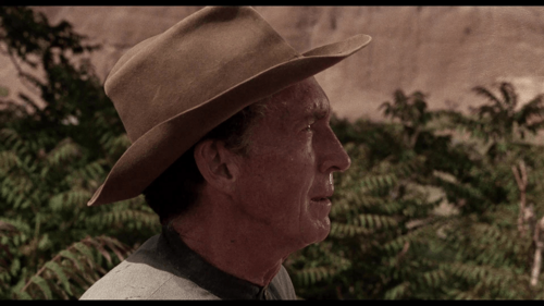 Ride in the Whirlwind