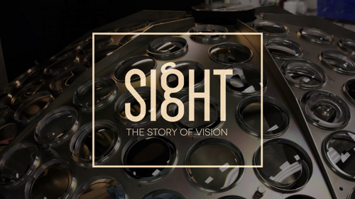 Sight: The Story of Vision