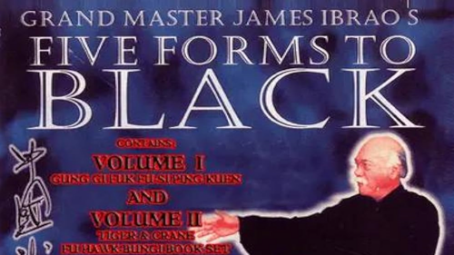Five Forms To Black - Vol. 2