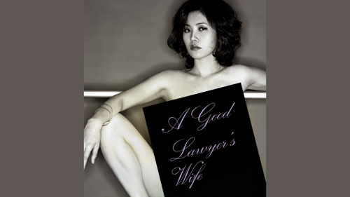 A Good Lawyer's Wife