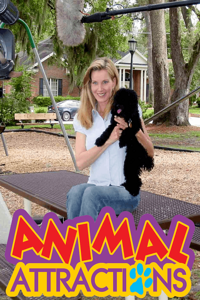 Animal Attractions