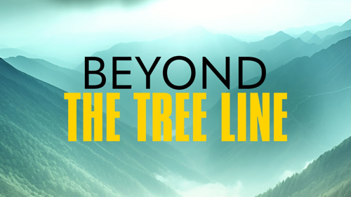 Beyond The Tree Line