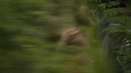 Clawed: The Legend of Sasquatch