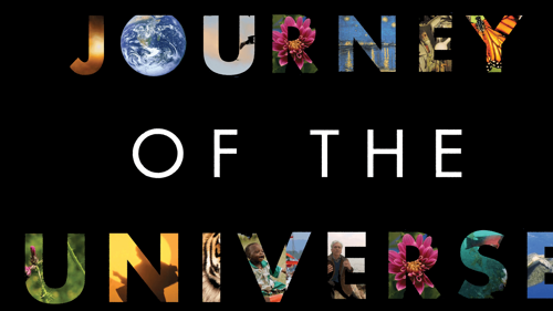 Journey Of The Universe