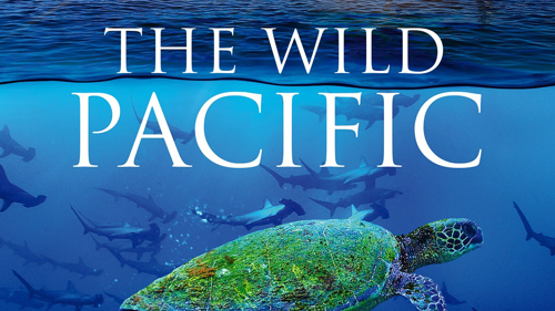 The Wild Pacific