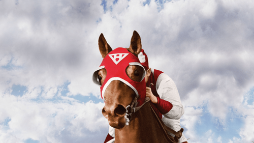 Seabiscuit: The Lost Documentary (in Color)