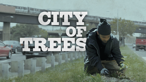 City of Trees