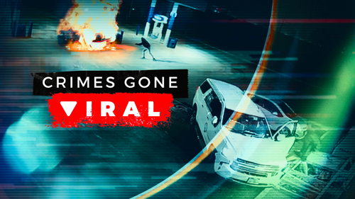 Crimes Gone Viral