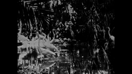 Explorers of the World