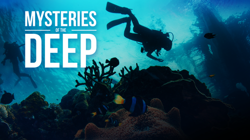 Mysteries Of The Deep