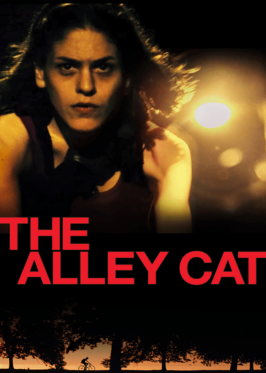 The Alley Cat Local Now