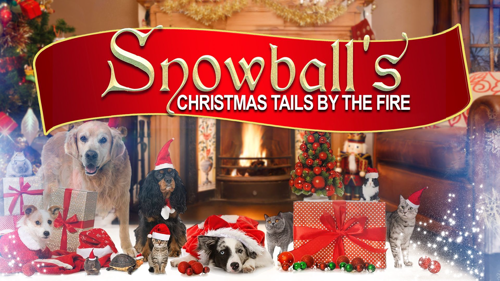 Snowball's Christmas Tails by the Fire