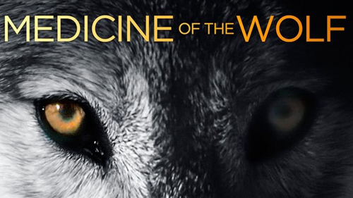 Medicine Of The Wolf