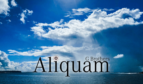 Aliquam: G Brothers