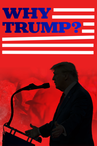 Why Trump?