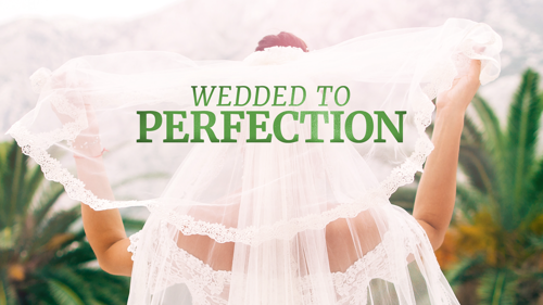 Wedded to Perfection
