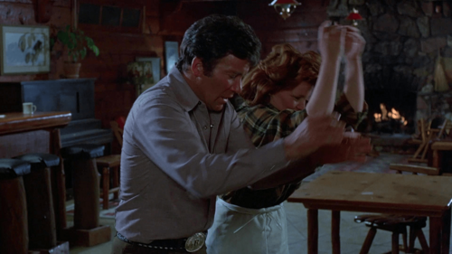 Kingdom of the Spiders