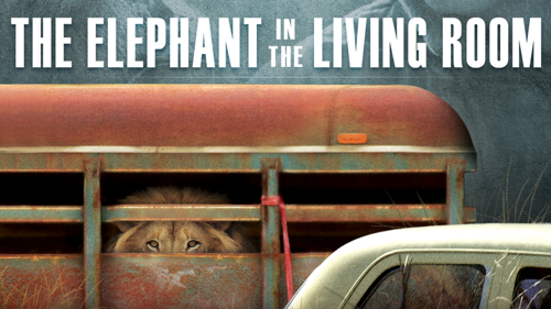 The Elephant In The Living Room