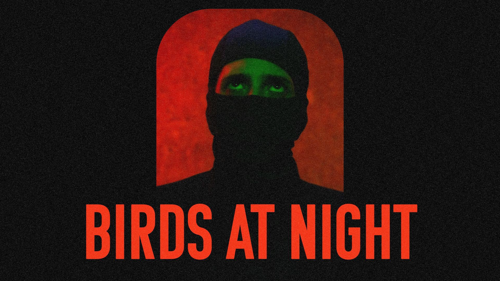 Birds at Night