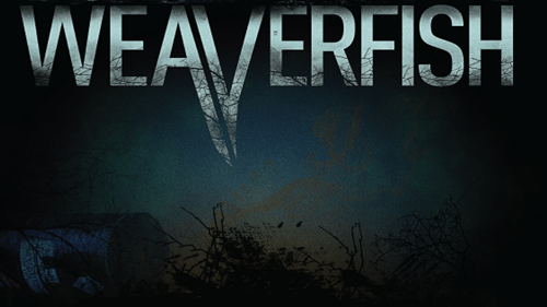 Weaverfish