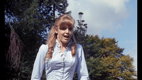 The Blood Beast Terror