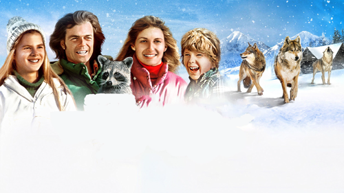 ADVENTURES OF THE WILDERNESS FAMILY PART 2