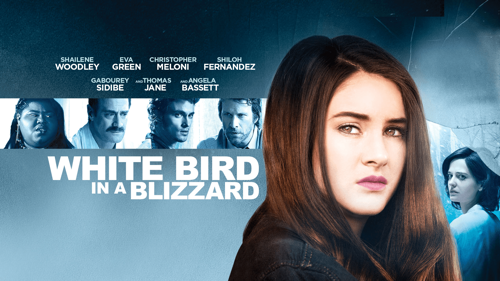 White Bird In A Blizzard