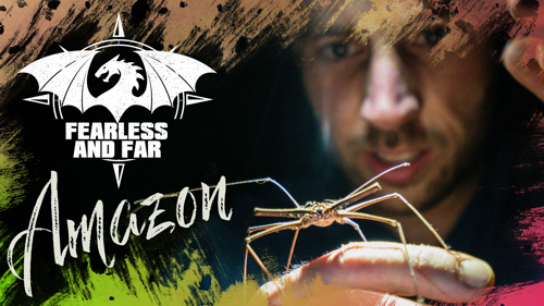 Fearless and Far: Amazon