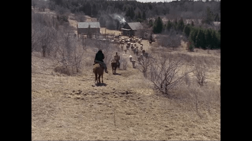 Nothing Too Good for a Cowboy